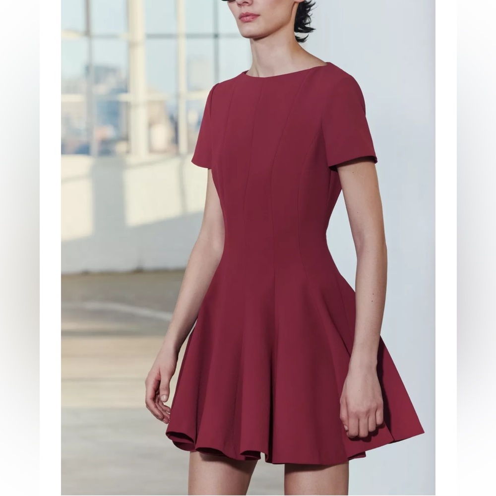 Zara NWT Burgundy cinched waist mini dress with flowy skirt - Picture 6 of 8